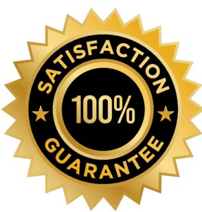 Satisfaction guarantee badge with 100% assurance, symbolizing Mr. Shine's commitment to customer satisfaction in car wash services.
